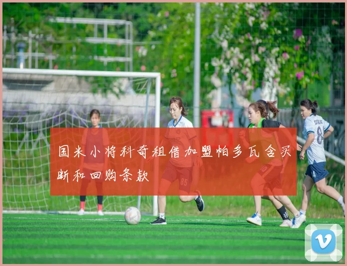 国米小将科奇租借加盟帕多瓦含买断和回购条款