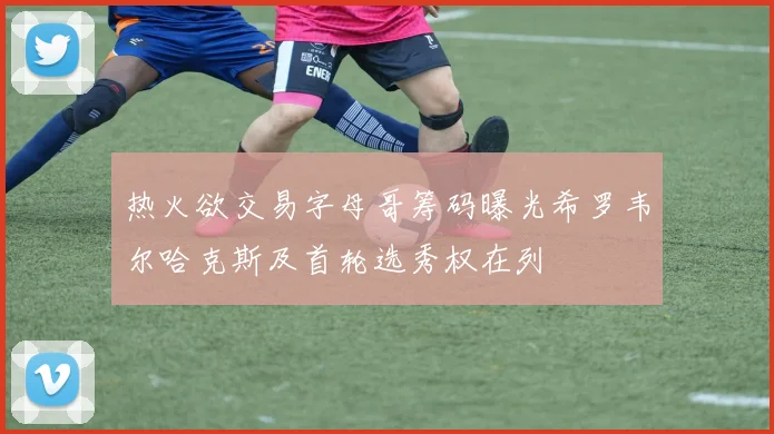 热火欲交易字母哥筹码曝光希罗韦尔哈克斯及首轮选秀权在列